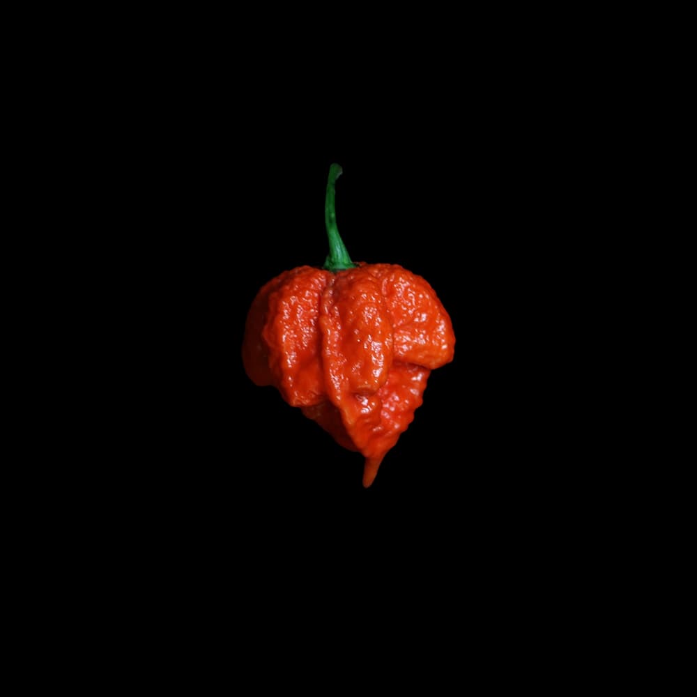 Carolina Reaper