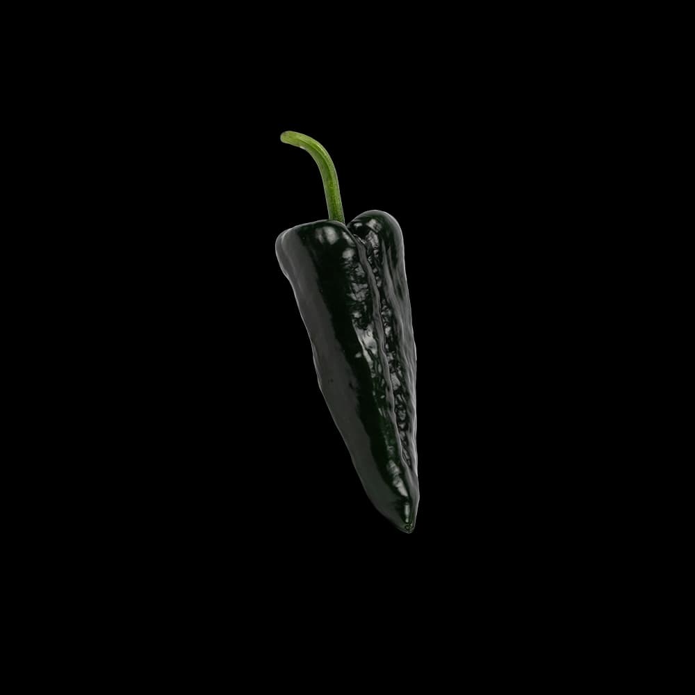 Poblano