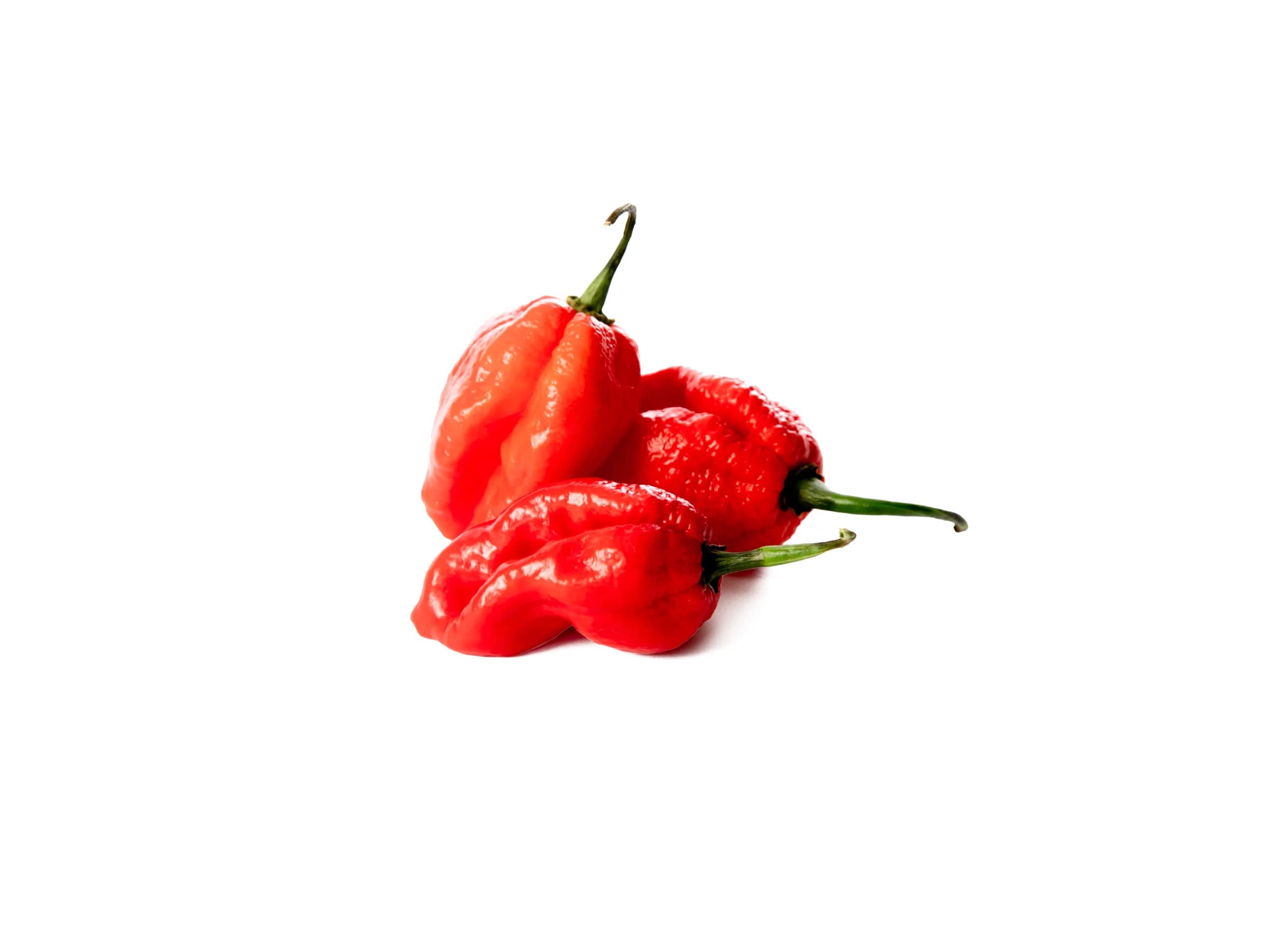 Carolina Reaper