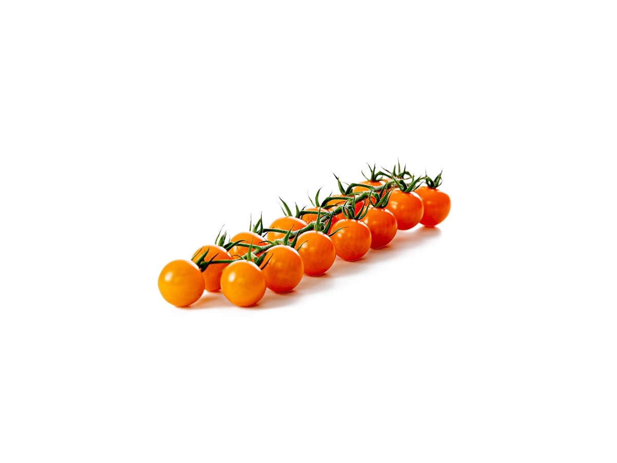 Oranje