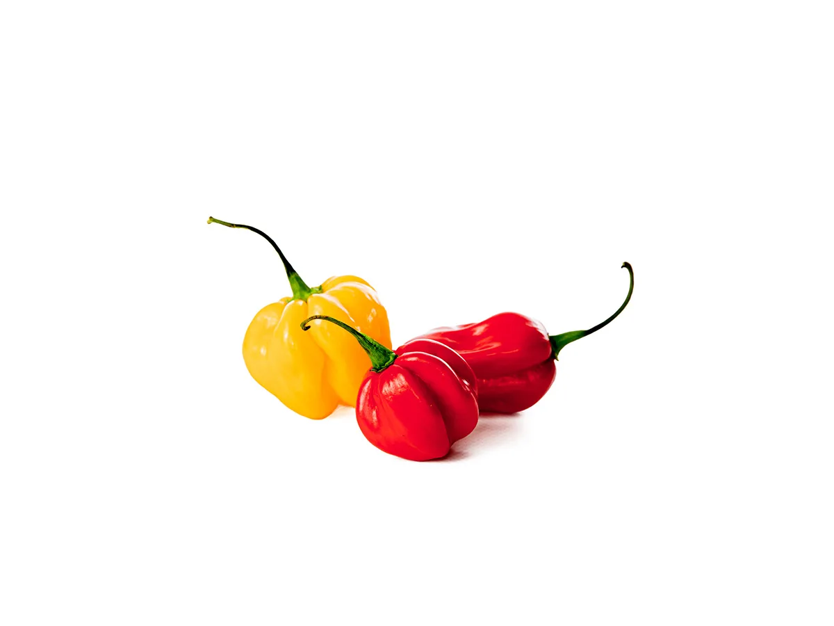 Habanero