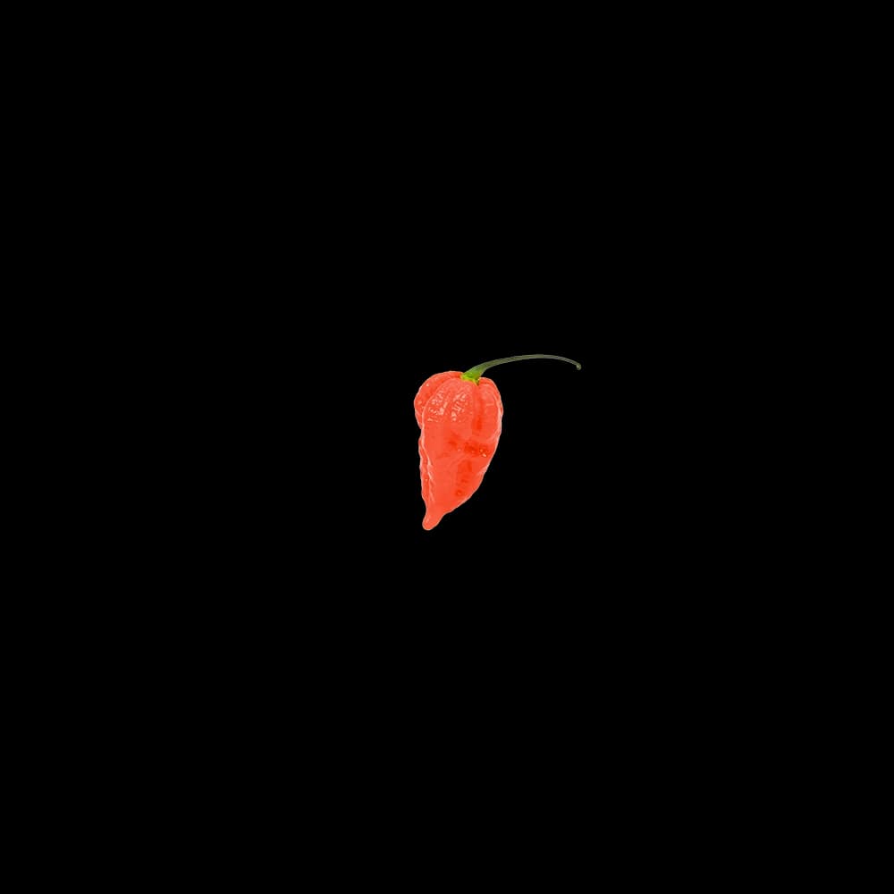 Naga Jolokia