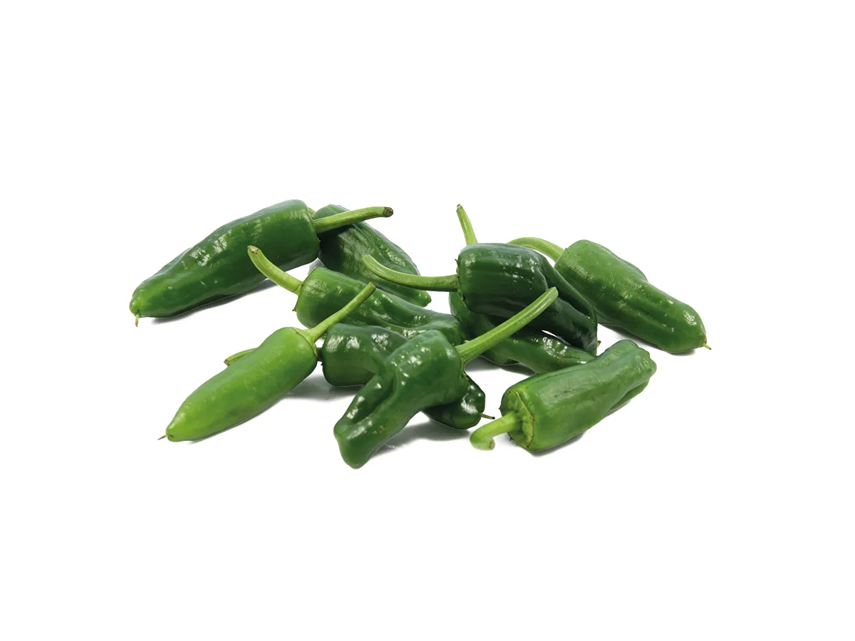 Pimientos de Padrón