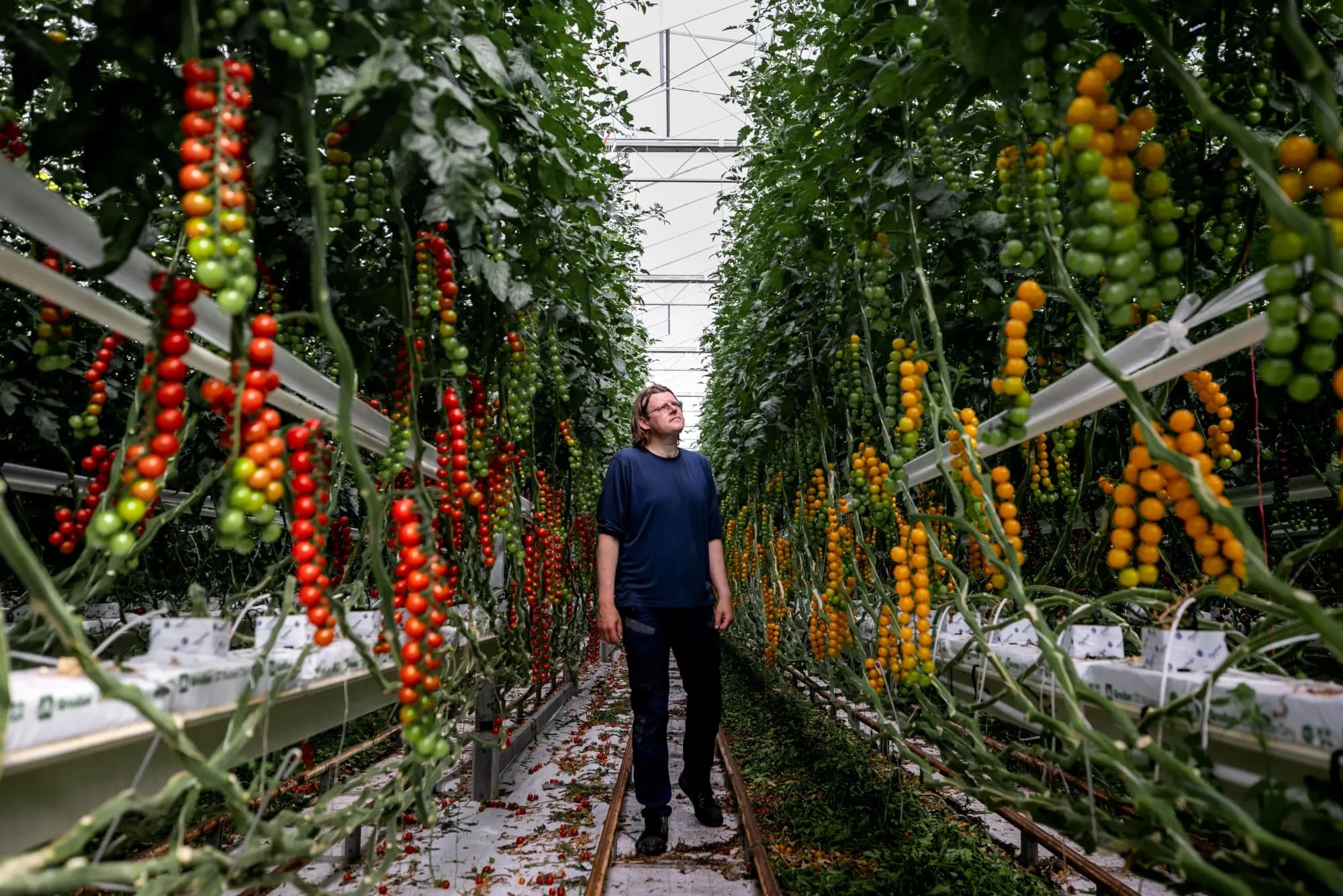 Transformatie, decor wordt hoofdzaak