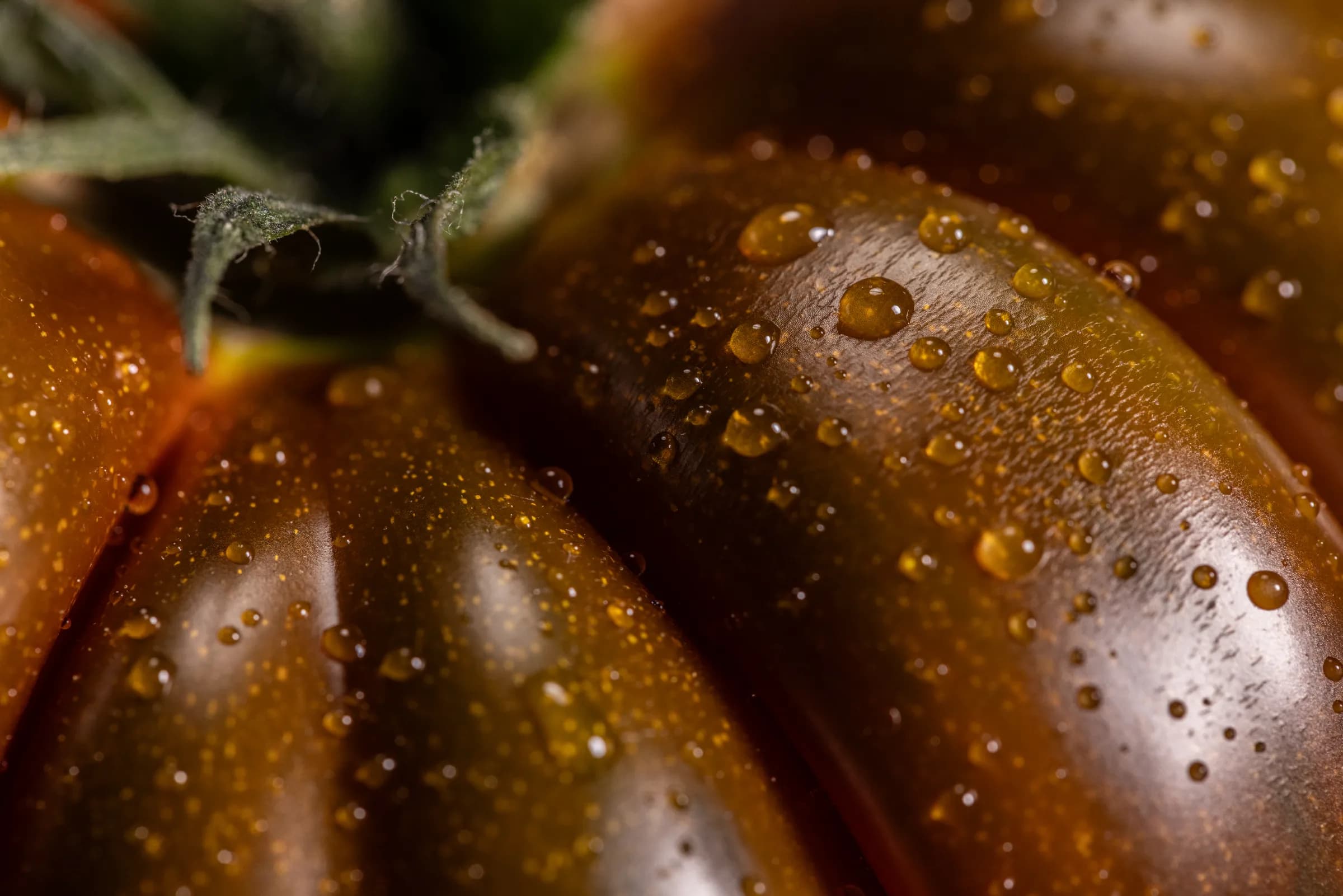 Eminent, macro close-up van een heirloom met gouden druppels