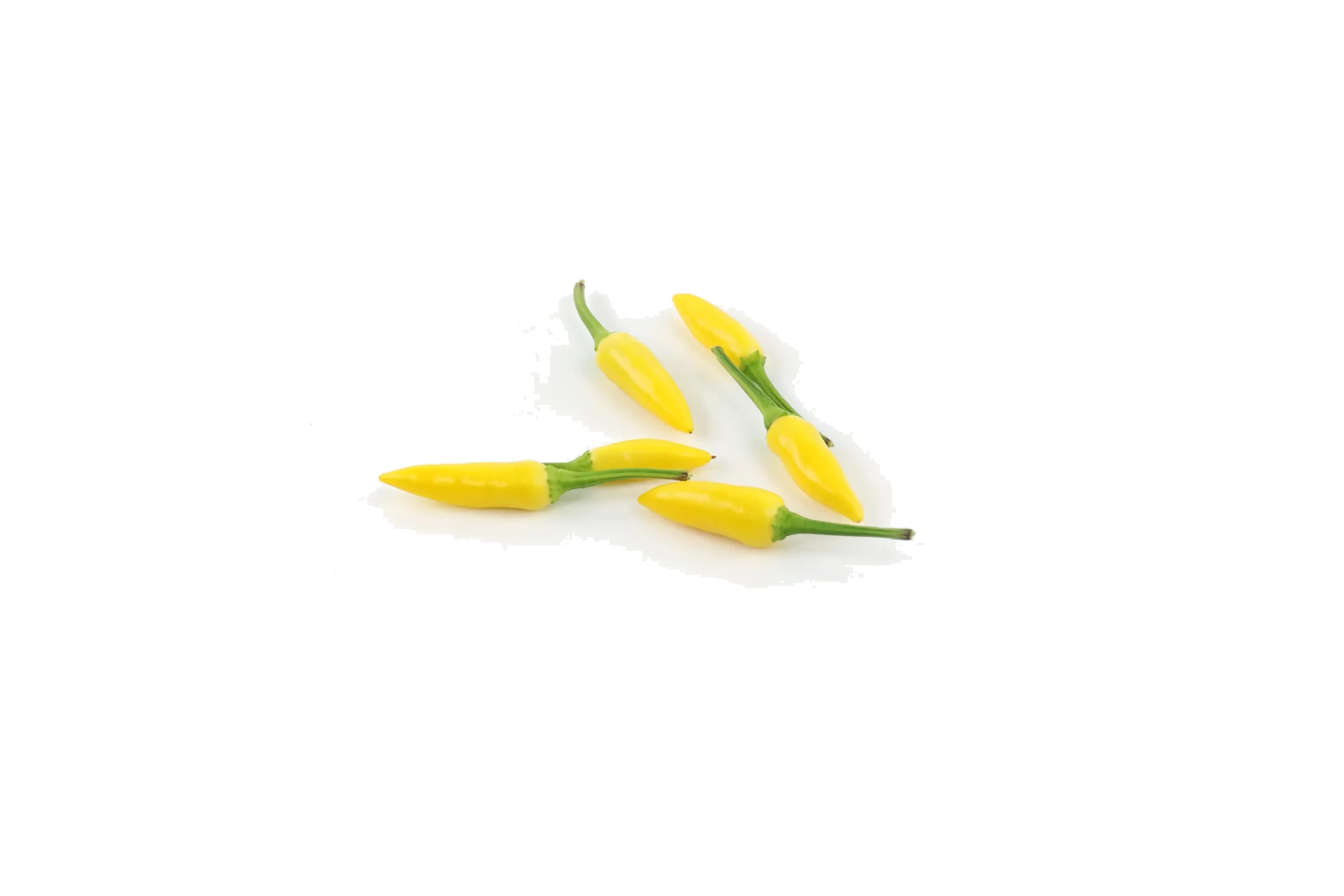 Gelb