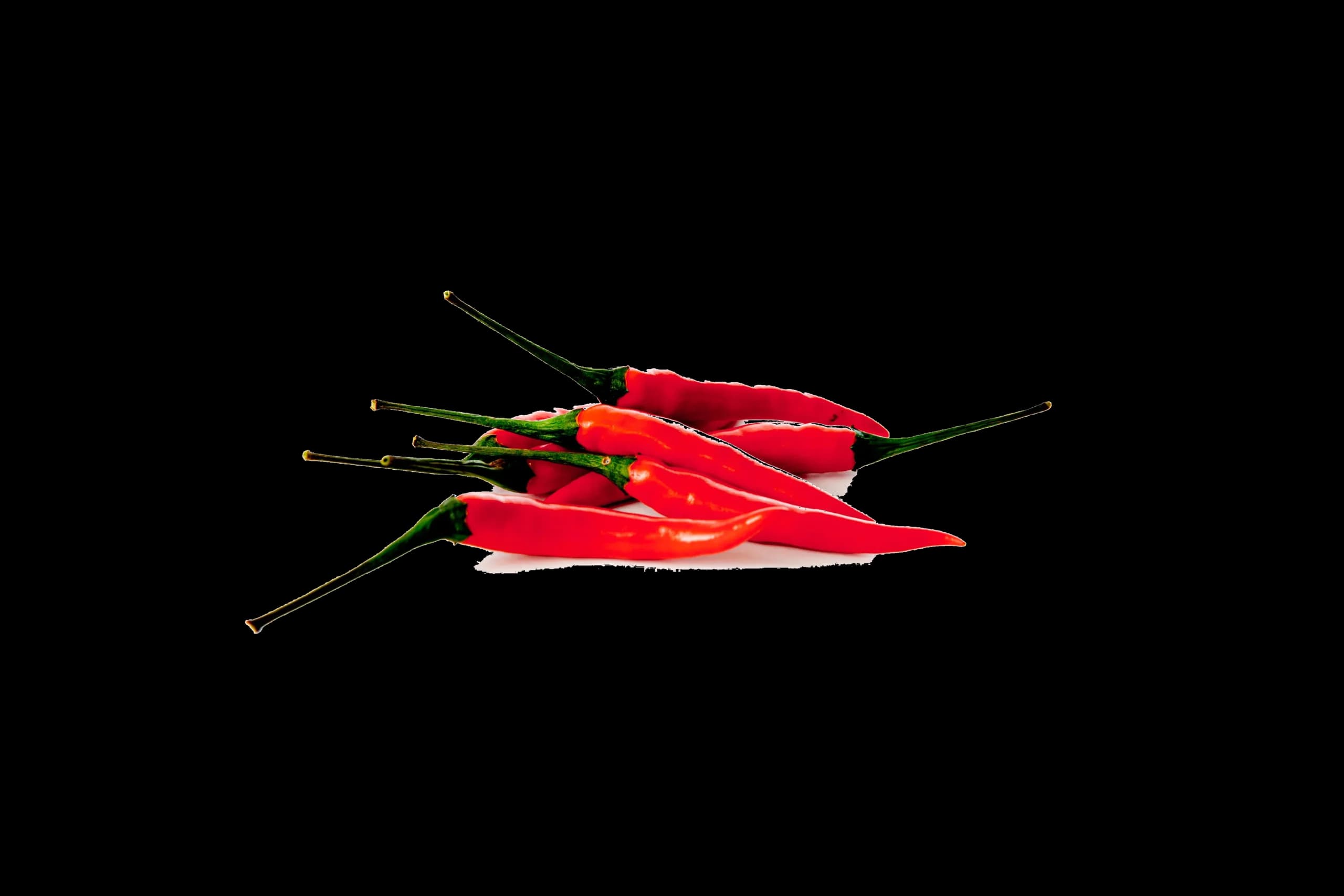Rot