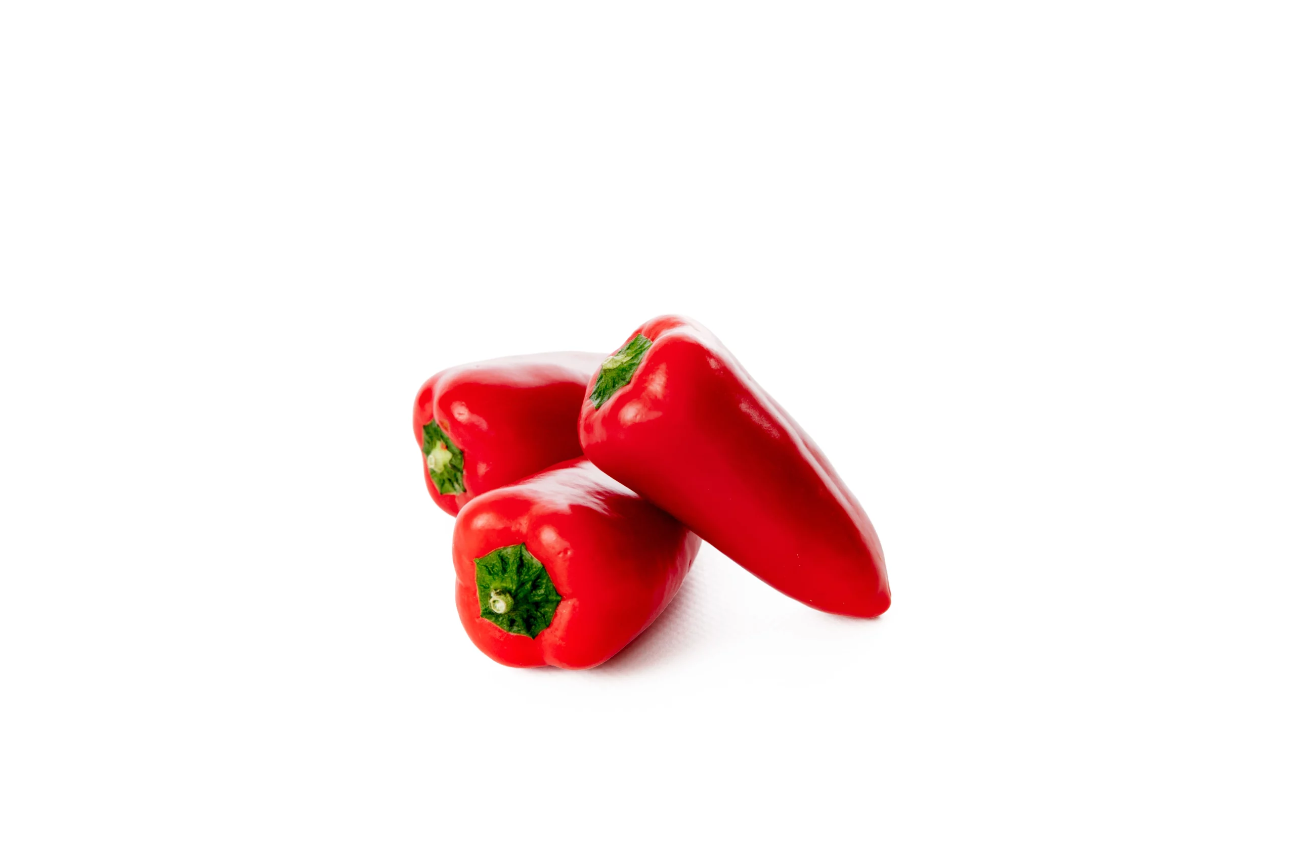 Rot
