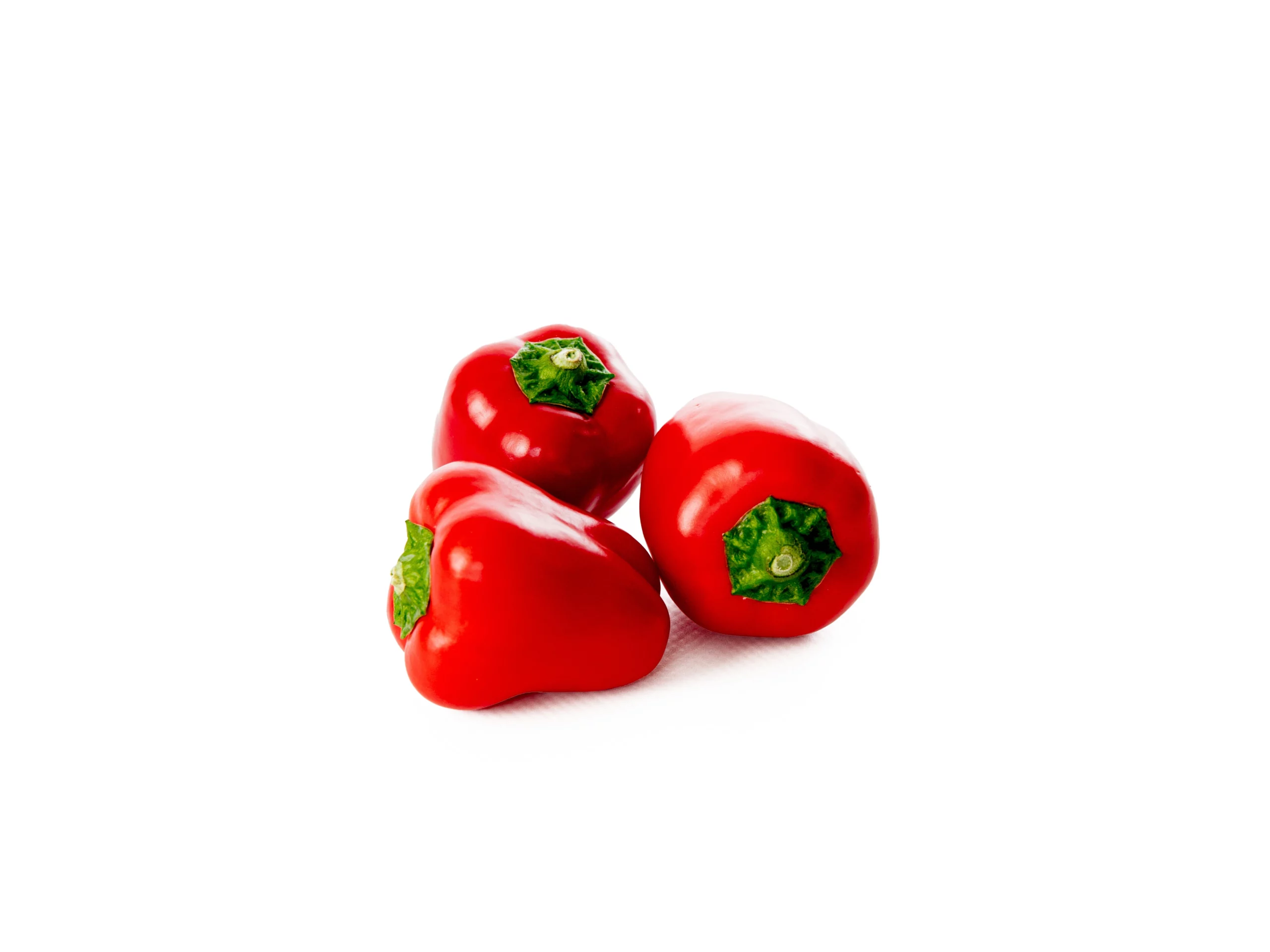 Rot