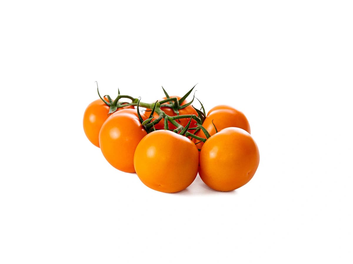 Oranje